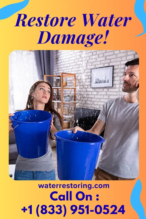 water restoration Lightning Disaster Cleanup Group Walker