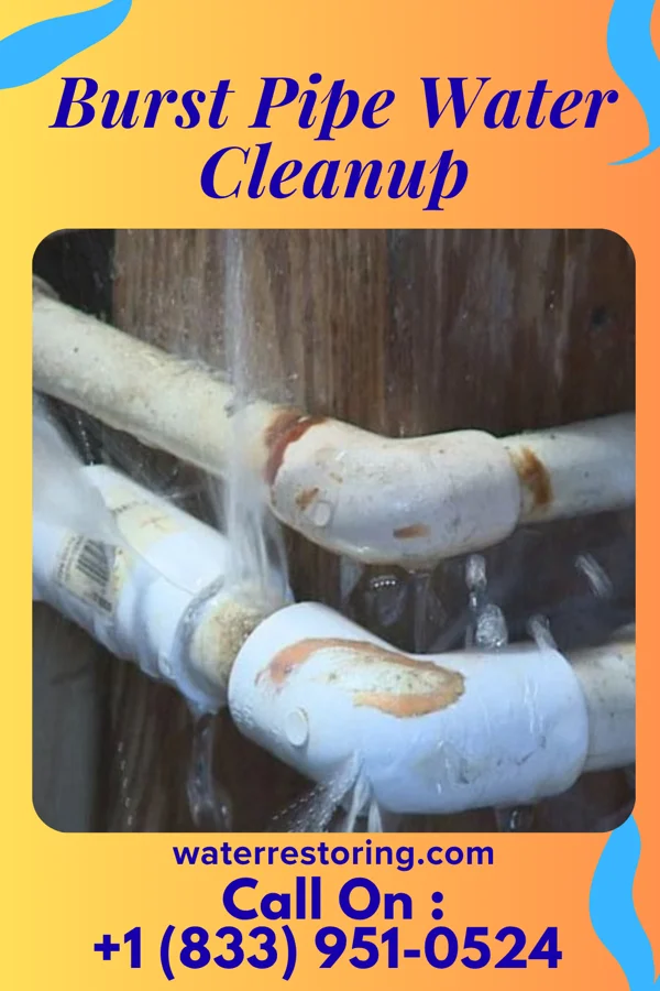 Burst Pipe Water Cleanup in Walker, LA