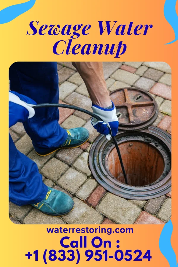 Sewage Water Cleanup in Walker, LA